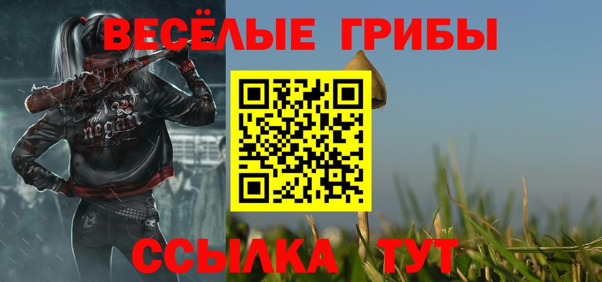 Псилоцибиновые грибы прущие грибы Бугульма
