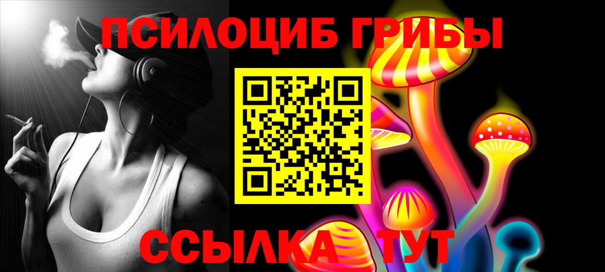 Бугульма  Псилоцибиновые грибы Cubensis  Вход с VPN 